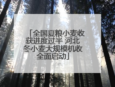 全国夏粮小麦收获进度过半 河北冬小麦大规模机收全面启动
