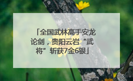 全国武林高手安龙论剑，贵阳云岩“武将”斩获7金6银