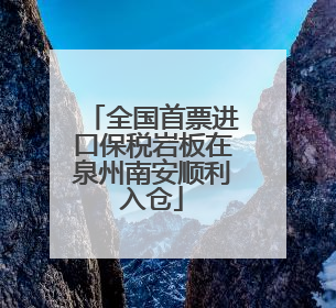 全国首票进口保税岩板在泉州南安顺利入仓