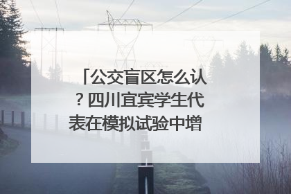 公交盲区怎么认？四川宜宾学生代表在模拟试验中增强乘车安全意识