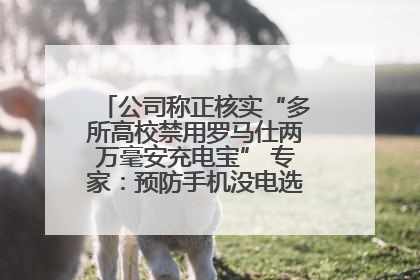 公司称正核实“多所高校禁用罗马仕两万毫安充电宝” 专家：预防手机没电选中等体积产品即可