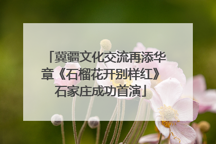 冀疆文化交流再添华章《石榴花开别样红》石家庄成功首演