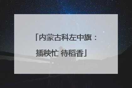 内蒙古科左中旗：插秧忙 待稻香