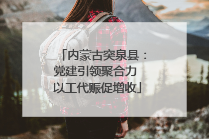 内蒙古突泉县：党建引领聚合力 以工代赈促增收
