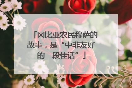冈比亚农民穆萨的故事，是“中非友好的一段佳话”