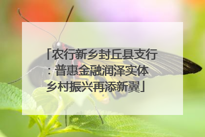 农行新乡封丘县支行：普惠金融润泽实体 乡村振兴再添新翼