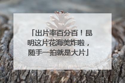 出片率百分百！昆明这片花海美炸啦，随手一拍就是大片