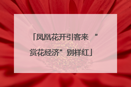 凤凰花开引客来 “赏花经济”别样红