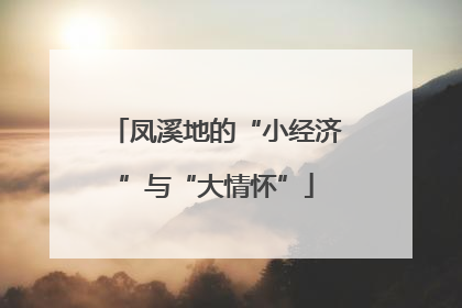 凤溪地的“小经济”与“大情怀”