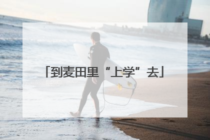 到麦田里“上学”去