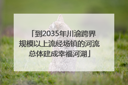 到2035年川渝跨界规模以上流经场镇的河流总体建成幸福河湖