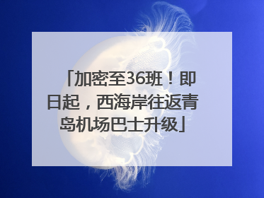 加密至36班！即日起，西海岸往返青岛机场巴士升级