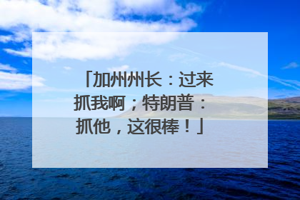 加州州长：过来抓我啊；特朗普：抓他，这很棒！