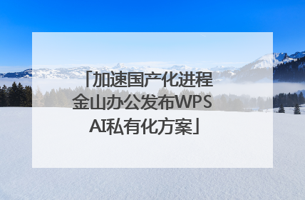 加速国产化进程 金山办公发布WPS AI私有化方案
