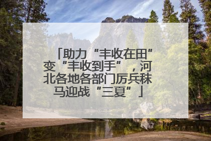 助力“丰收在田”变“丰收到手”，河北各地各部门厉兵秣马迎战“三夏”