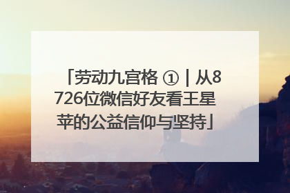 劳动九宫格 ①｜从8726位微信好友看王星苹的公益信仰与坚持
