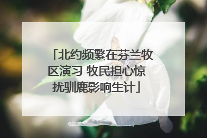 北约频繁在芬兰牧区演习 牧民担心惊扰驯鹿影响生计