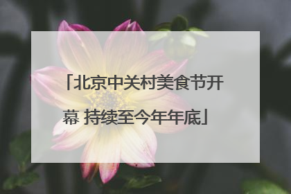 北京中关村美食节开幕 持续至今年年底