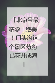 北京号最精彩｜绝美！门头沟这个景区芍药已花开成海