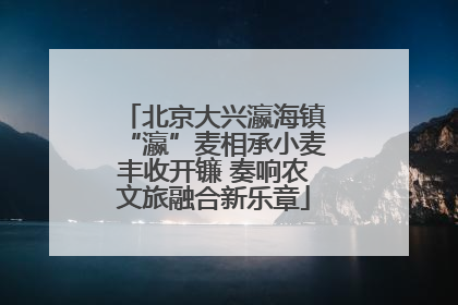 北京大兴瀛海镇“瀛”麦相承小麦丰收开镰 奏响农文旅融合新乐章