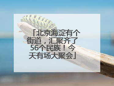 北京海淀有个街道，汇聚齐了56个民族！今天有场大聚会