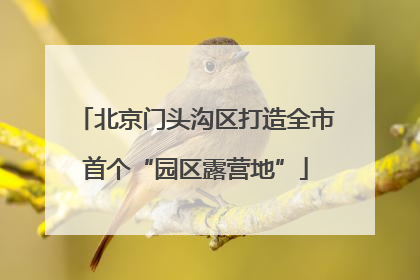 北京门头沟区打造全市首个“园区露营地”