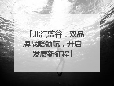 北汽蓝谷：双品牌战略领航，开启发展新征程