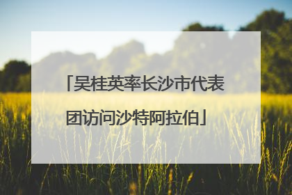 吴桂英率长沙市代表团访问沙特阿拉伯