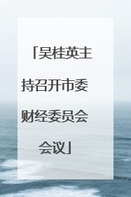 吴桂英主持召开市委财经委员会会议