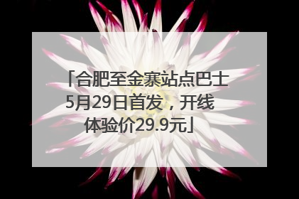 合肥至金寨站点巴士5月29日首发，开线体验价29.9元