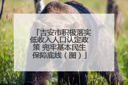 吉安市积极落实低收入人口认定政策 兜牢基本民生保障底线（图）