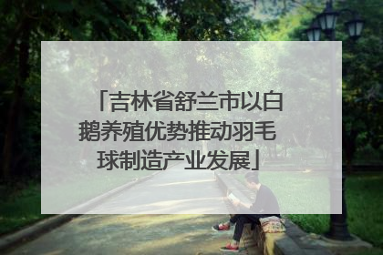 吉林省舒兰市以白鹅养殖优势推动羽毛球制造产业发展