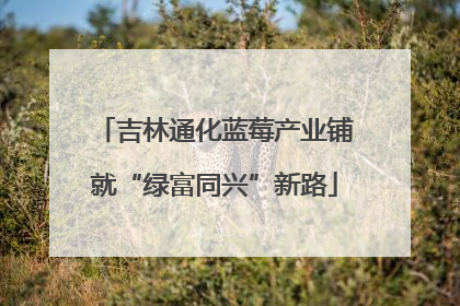 吉林通化蓝莓产业铺就“绿富同兴”新路
