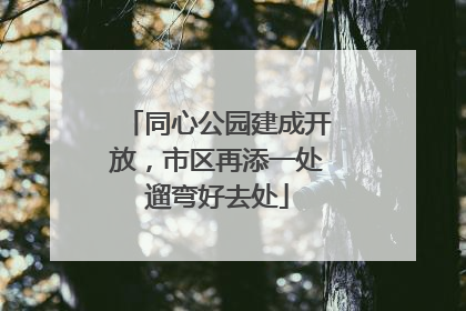 同心公园建成开放，市区再添一处遛弯好去处