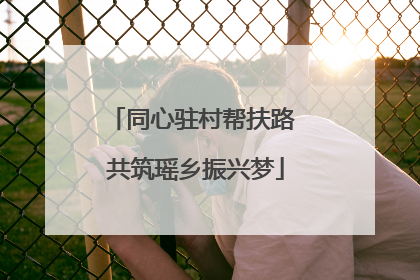 同心驻村帮扶路 共筑瑶乡振兴梦