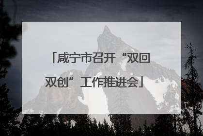 咸宁市召开“双回双创”工作推进会