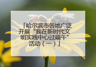 哈尔滨市各地广泛开展“我在新时代文明实践中心过端午”活动（一）