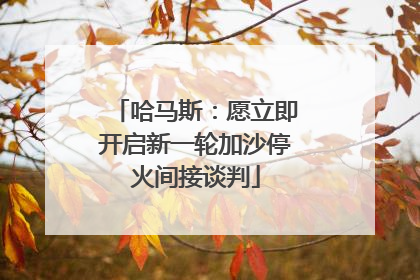 哈马斯：愿立即开启新一轮加沙停火间接谈判