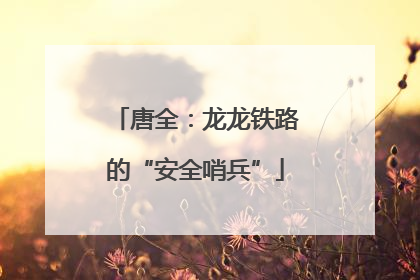 唐全：龙龙铁路的“安全哨兵”