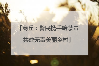 商丘：警民携手绘禁毒 共建无毒美丽乡村