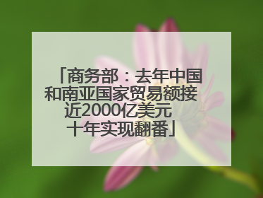 商务部：去年中国和南亚国家贸易额接近2000亿美元 十年实现翻番