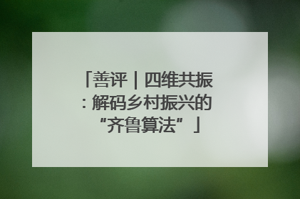 善评｜四维共振：解码乡村振兴的“齐鲁算法”