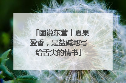 图说东营丨夏果盈香，是盐碱地写给舌尖的情书
