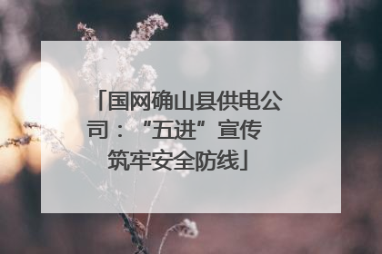 国网确山县供电公司：“五进”宣传 筑牢安全防线