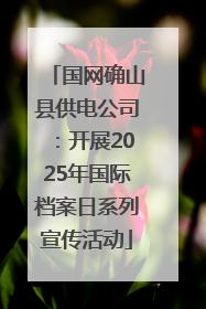 国网确山县供电公司：开展2025年国际档案日系列宣传活动