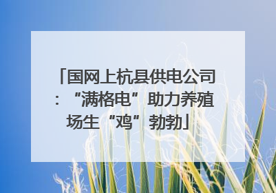 国网上杭县供电公司：“满格电”助力养殖场生“鸡”勃勃