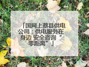 国网上蔡县供电公司：供电服务在身边 安全咨询“零距离”