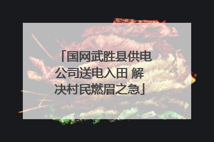 国网武胜县供电公司送电入田 解决村民燃眉之急