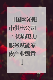 国网沁阳市供电公司：优质电力服务赋能凉皮产业飘香