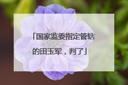 国家监委指定管辖的田玉军，判了